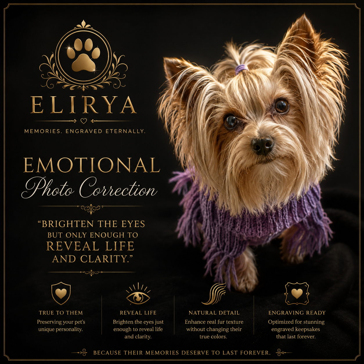 Ternvia Emotional Photo Correction promotional proof with Yorkie and reveal life wording